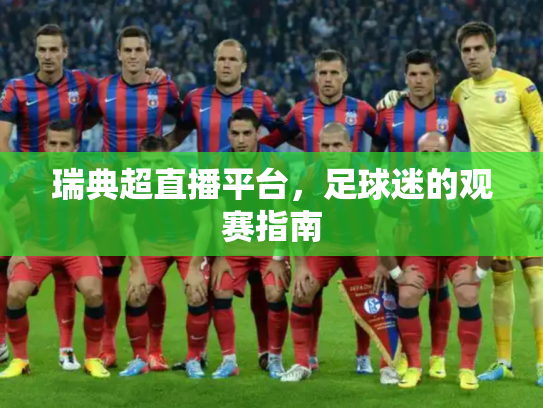 瑞典超直播平台，足球迷的观赛指南