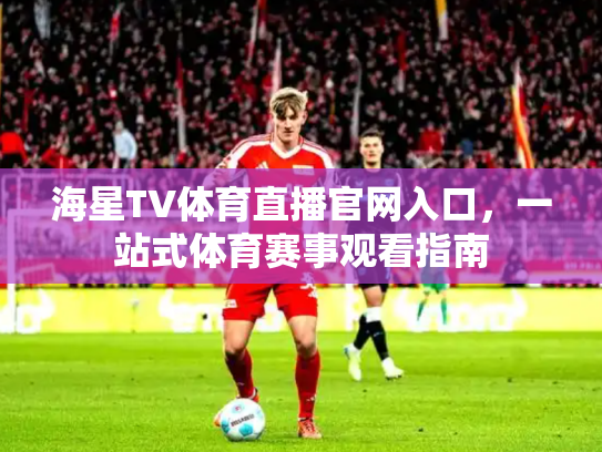 海星TV体育直播官网入口，一站式体育赛事观看指南
