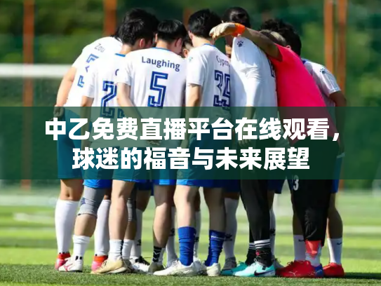 中乙免费直播平台在线观看，球迷的福音与未来展望