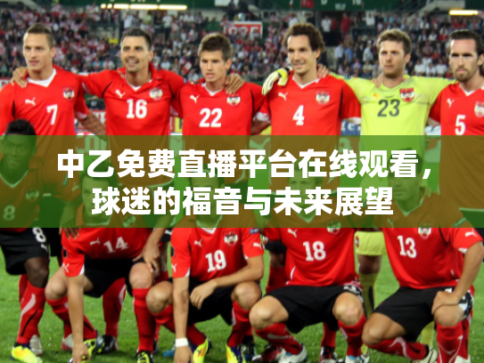 中乙免费直播平台在线观看，球迷的福音与未来展望