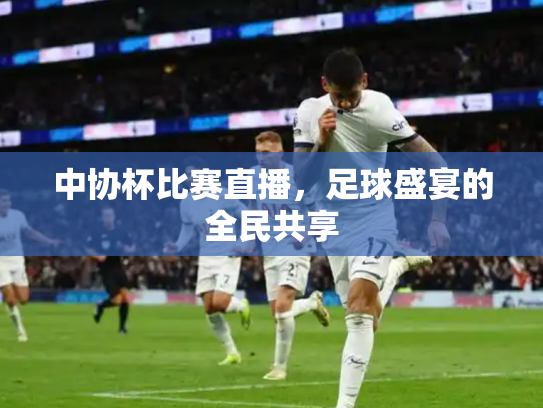 中协杯比赛直播，足球盛宴的全民共享