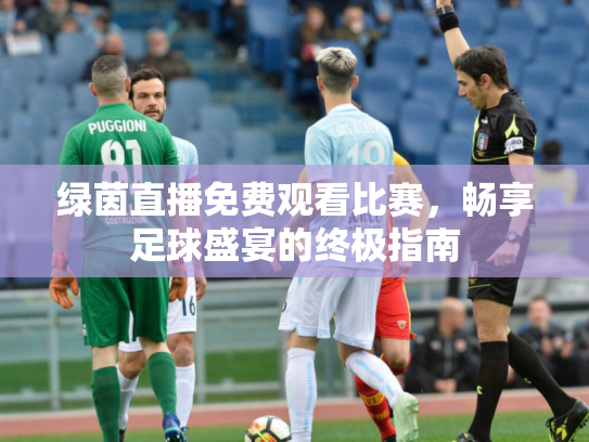 绿茵直播免费观看比赛，畅享足球盛宴的终极指南