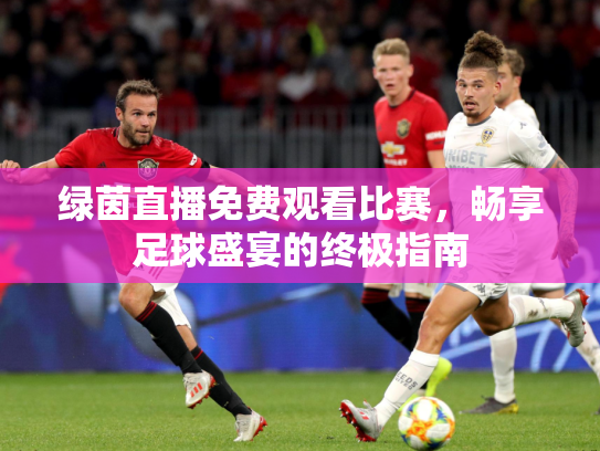 绿茵直播免费观看比赛，畅享足球盛宴的终极指南