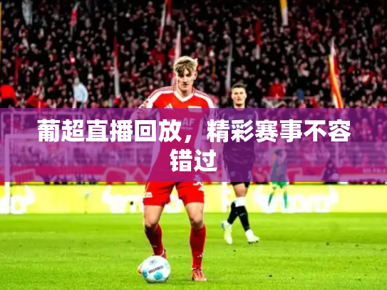 葡超直播回放，精彩赛事不容错过