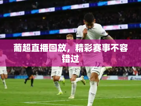 葡超直播回放，精彩赛事不容错过