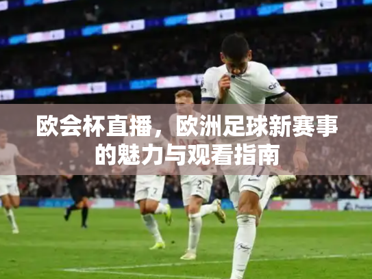 欧会杯直播，欧洲足球新赛事的魅力与观看指南