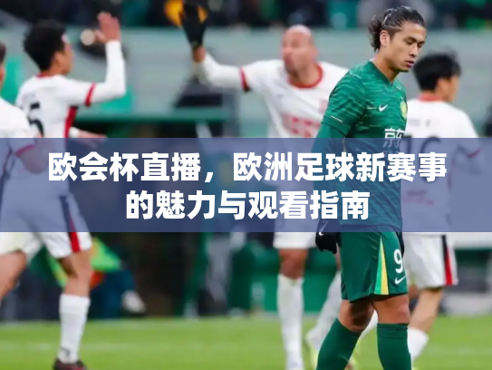 欧会杯直播，欧洲足球新赛事的魅力与观看指南