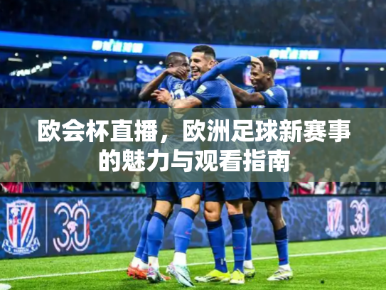 欧会杯直播，欧洲足球新赛事的魅力与观看指南