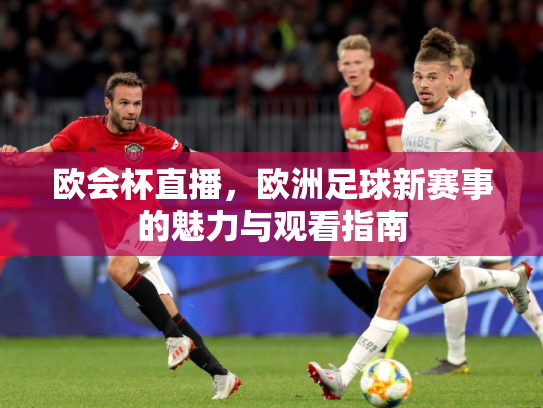 欧会杯直播，欧洲足球新赛事的魅力与观看指南