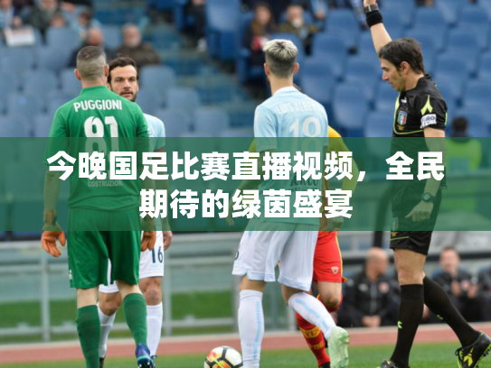 今晚国足比赛直播视频，全民期待的绿茵盛宴