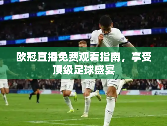 欧冠直播免费观看指南，享受顶级足球盛宴