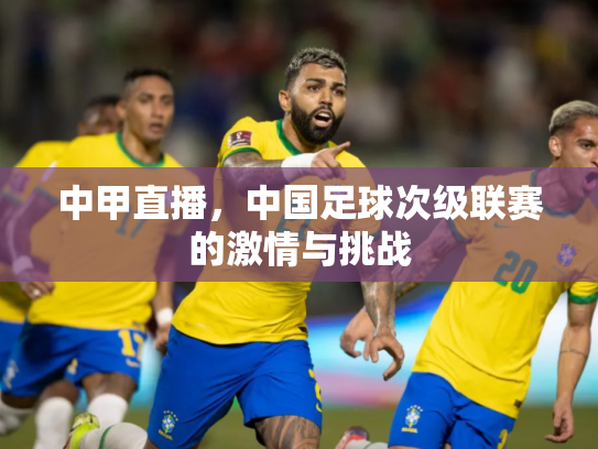 中甲直播，中国足球次级联赛的激情与挑战