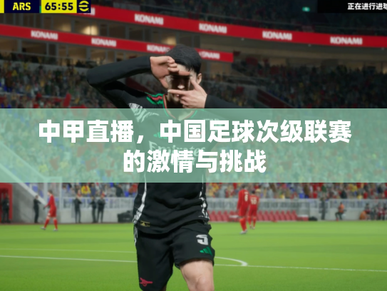 中甲直播，中国足球次级联赛的激情与挑战