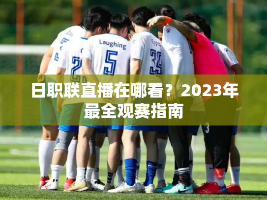 日职联直播在哪看？2023年最全观赛指南