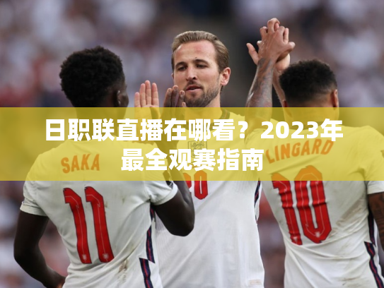 日职联直播在哪看？2023年最全观赛指南