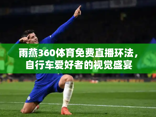 雨燕360体育免费直播环法，自行车爱好者的视觉盛宴