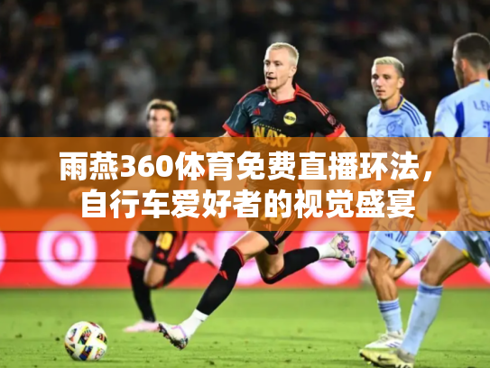雨燕360体育免费直播环法，自行车爱好者的视觉盛宴