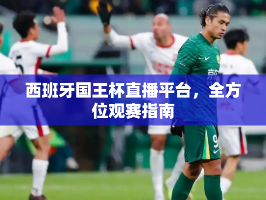 西班牙国王杯直播平台，全方位观赛指南