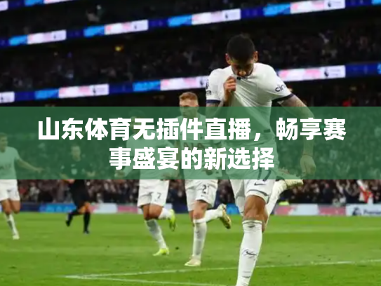 山东体育无插件直播，畅享赛事盛宴的新选择