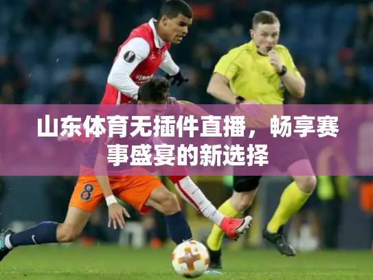山东体育无插件直播，畅享赛事盛宴的新选择