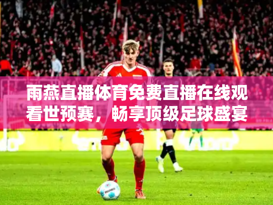 雨燕直播体育免费直播在线观看世预赛，畅享顶级足球盛宴