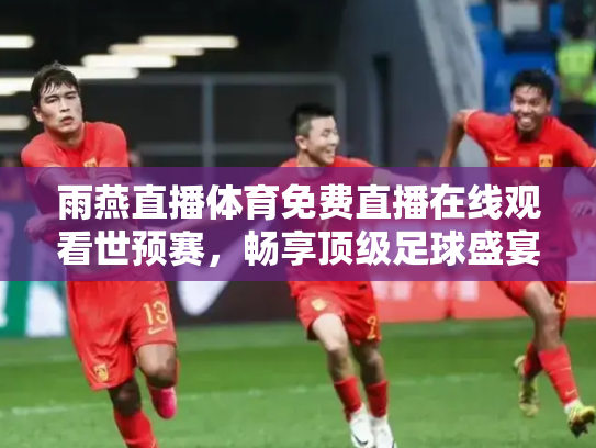 雨燕直播体育免费直播在线观看世预赛，畅享顶级足球盛宴
