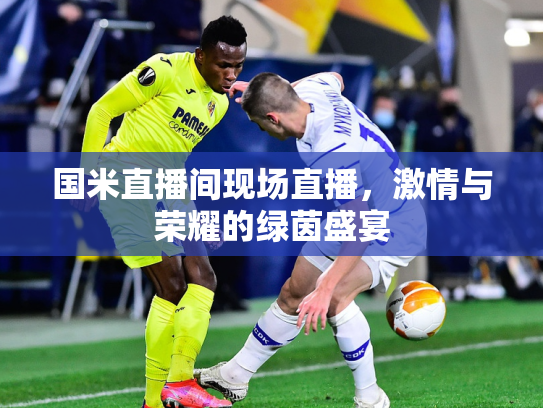 国米直播间现场直播，激情与荣耀的绿茵盛宴