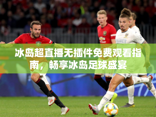 冰岛超直播无插件免费观看指南，畅享冰岛足球盛宴