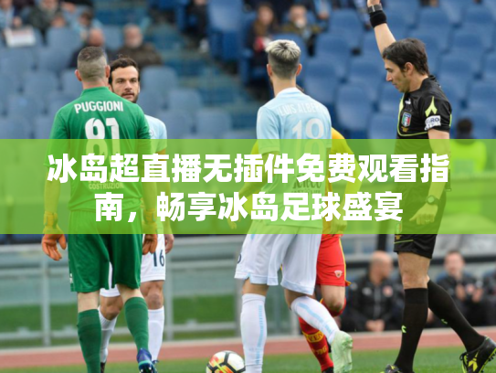 冰岛超直播无插件免费观看指南，畅享冰岛足球盛宴