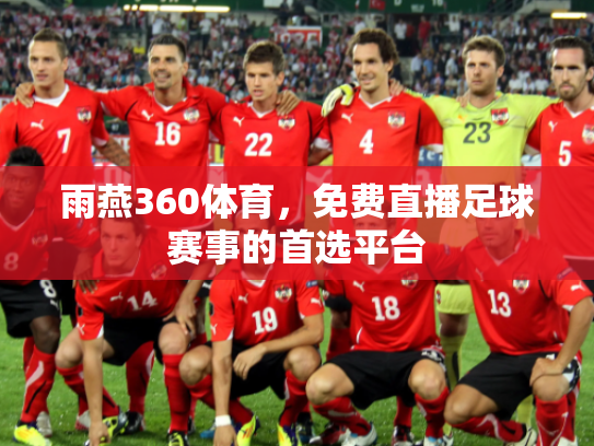 雨燕360体育，免费直播足球赛事的首选平台