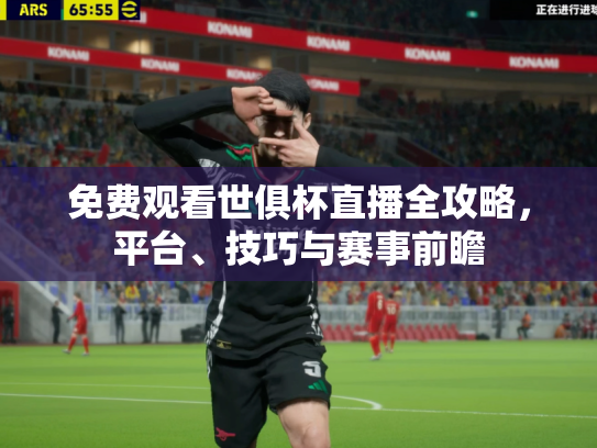 免费观看世俱杯直播全攻略，平台、技巧与赛事前瞻
