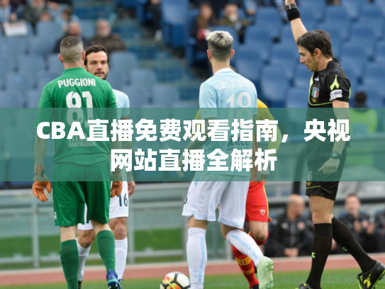 CBA直播免费观看指南，央视网站直播全解析