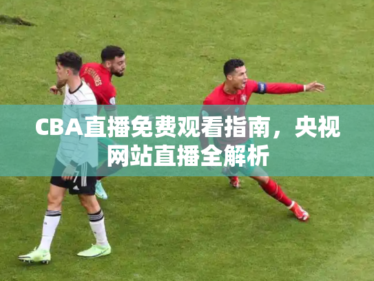 CBA直播免费观看指南，央视网站直播全解析