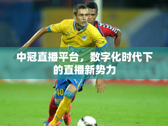 中冠直播平台，数字化时代下的直播新势力