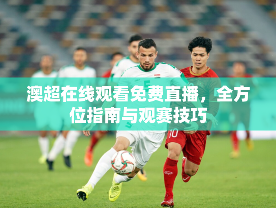 澳超在线观看免费直播，全方位指南与观赛技巧