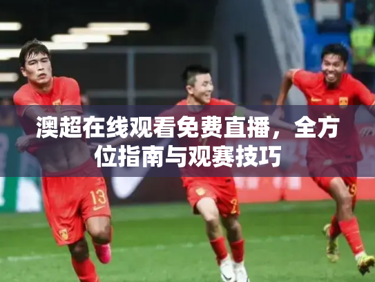 澳超在线观看免费直播，全方位指南与观赛技巧