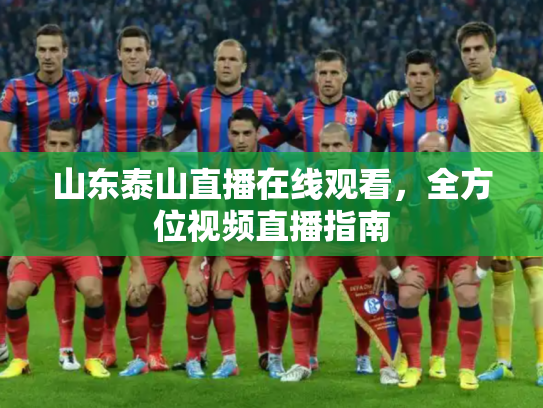 山东泰山直播在线观看，全方位视频直播指南