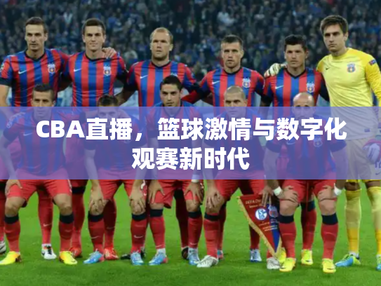 CBA直播，篮球激情与数字化观赛新时代