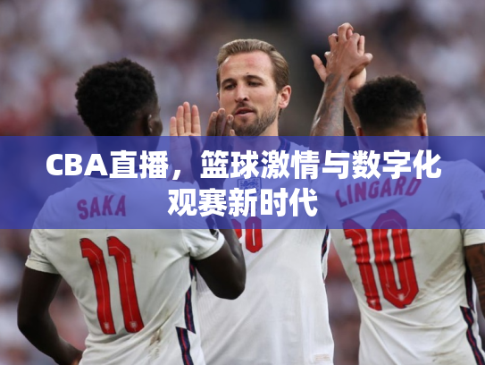 CBA直播，篮球激情与数字化观赛新时代