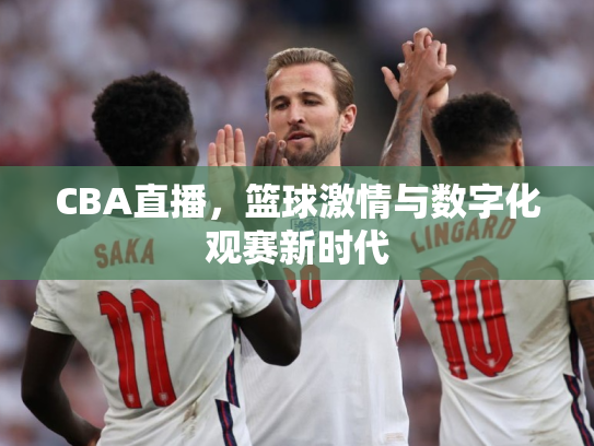 CBA直播，篮球激情与数字化观赛新时代