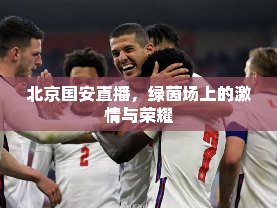 北京国安直播，绿茵场上的激情与荣耀