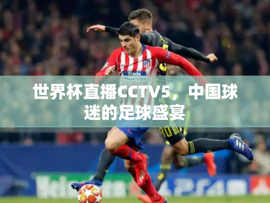 世界杯直播CCTV5，中国球迷的足球盛宴