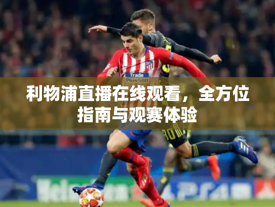 利物浦直播在线观看，全方位指南与观赛体验