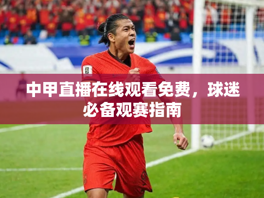 中甲直播在线观看免费，球迷必备观赛指南
