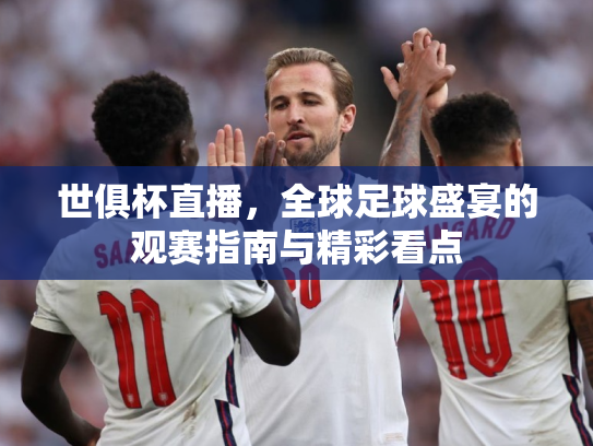 世俱杯直播，全球足球盛宴的观赛指南与精彩看点