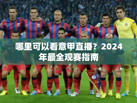 哪里可以看意甲直播？2024年最全观赛指南