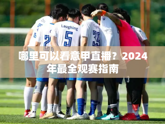 哪里可以看意甲直播？2024年最全观赛指南