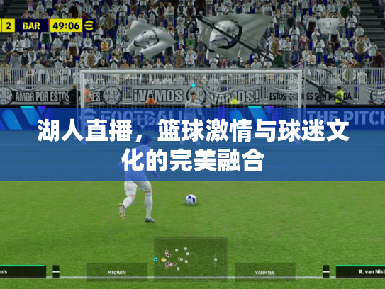 湖人直播，篮球激情与球迷文化的完美融合