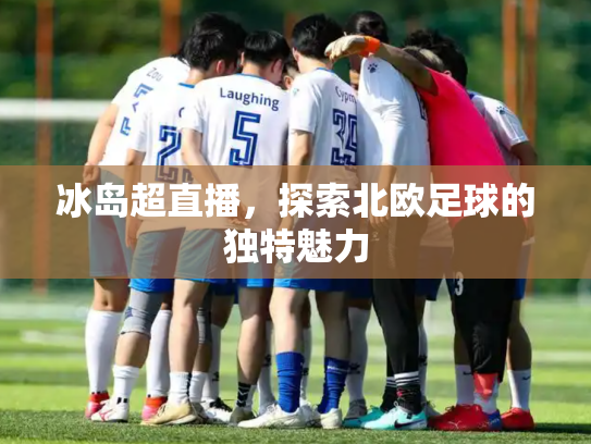冰岛超直播，探索北欧足球的独特魅力