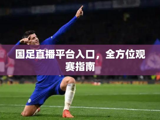 国足直播平台入口，全方位观赛指南